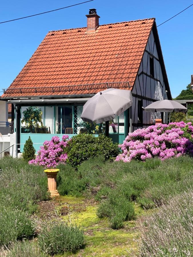 Ferienhaus mit Sauna, Wintergarten und Terrasse im schönen Hochtaunus Glashutten  Exterior foto